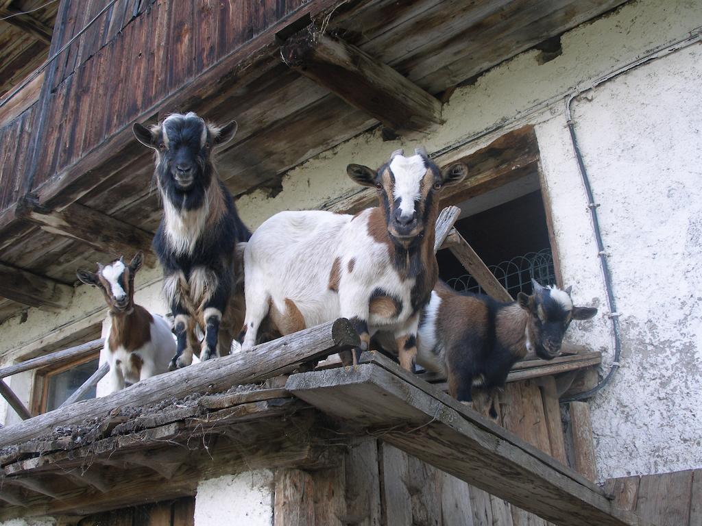 Oberschoellberghof Lutago Ngoại thất bức ảnh